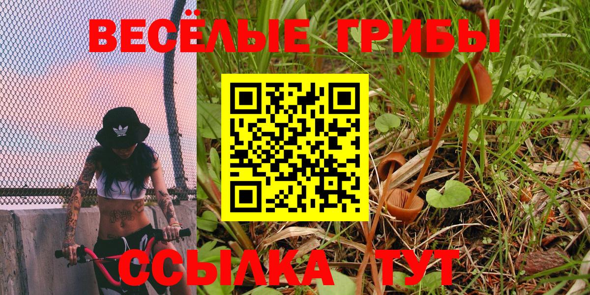 Прокопьевск  Галлюциногенные грибы мицелий  Вход с VPN  Псилоцибиновые грибы Psilocybine cubensis 